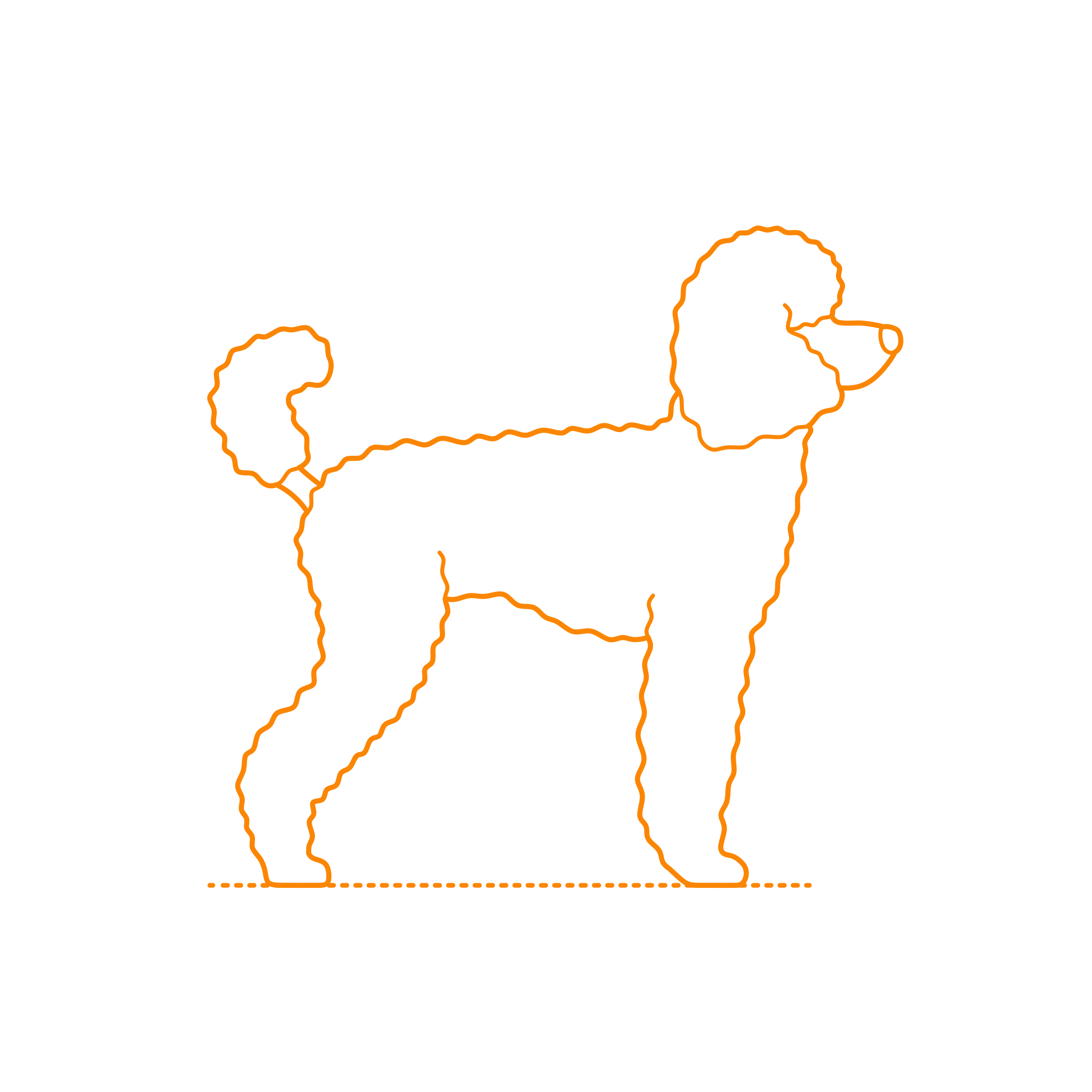 Animals Dogs Toy Poodle Contour Svg Vector Free Vectors